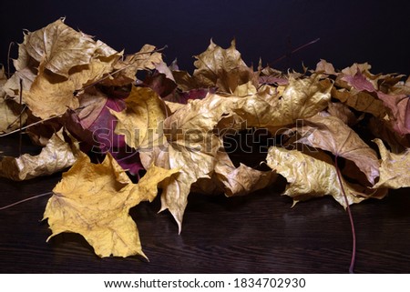 A pile of withered twisted maple leaves with light reflection lying on a dark wooden surface