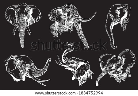 Graphical set of elephants isolated on black background, vector illustration 