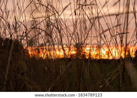 Sunrise in fields. Horizontal picture.