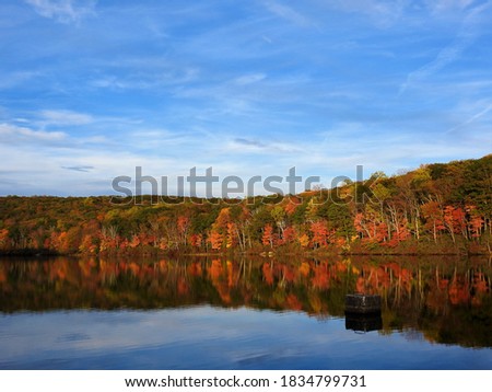 Autumn leaves and trees next to a lake and stream