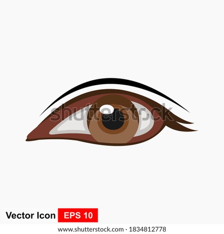 Beautiful Brown Eye - Vector eye