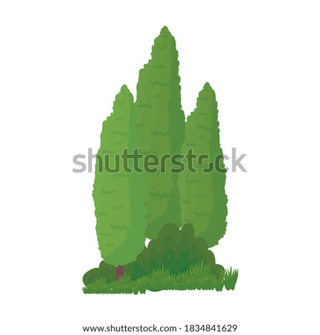 Pine trees design, Nature plant winter season environment natural and ecology theme Vector illustration