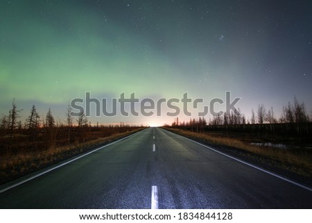 Northern lights (Aurora Borealis) over the road and the dry tundra Royalty-Free Stock Photo #1834844128