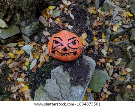 Halloween pumpkin on old and broken stones in the forest in the autumn season
