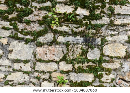 background - mossy wall made of raw limestone