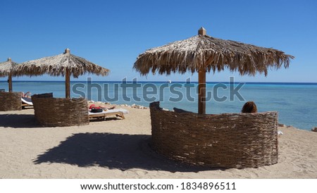 relax on the beach of the red sea in egypt under parasols