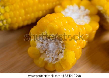 Corn lies on canvas. A new crop. Fresh corn closeup. Corn cob on a plate. Sweet corn on background for food ingredients and cooking concept.