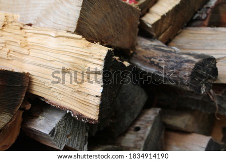 Picture of a pile of wood in the fall.