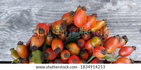 Bouquet of wild rose berries on a wooden background. Close-up, place for text.