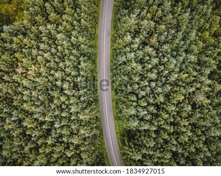 Ireland | An aerial view of roadway and paths amongst tree canopy tops at Sally Gap in Co. Wicklow Ireland.