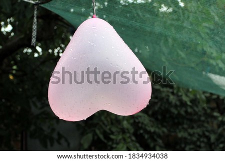 inflatable rubber heart hanging on a branch after rain