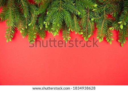 Christmas fir branches on red background. New Year winter holiday greeting card. Flat lay, top view, copy space.
