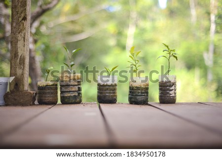 creating an permaculture garden with organic plants Royalty-Free Stock Photo #1834950178