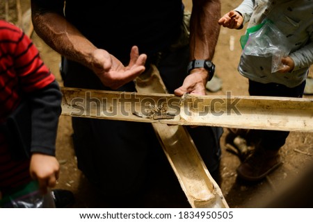 setting a fire from scratch with bamboo wood Royalty-Free Stock Photo #1834950505
