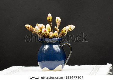 Still life composition with chestnut buds in a blue ceramic pot on white table cloth with black background