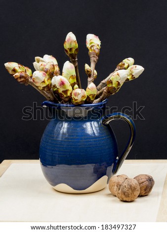 Still life composition with chestnut buds in a blue ceramic pot and walnuts on wooden surface with black background