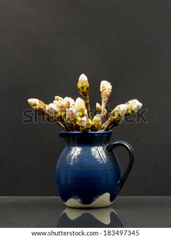 Still life composition with chestnut buds in a blue ceramic pot on black background