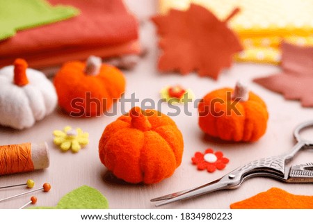 Felt pumpkin decoration with saving accessories