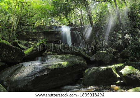 Natural waterfall in tropical forest in rainy season of wet wild tree forest. photo with soft focus with light adding for beautiful scene 
