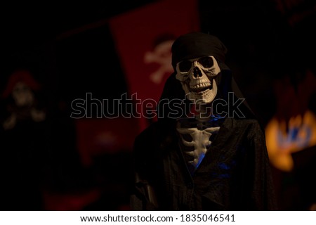 
A skeleton model in a pirate costume