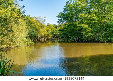 Connaught Water lake in Epping Forest in Essex, England