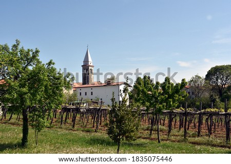 Typical Slovenian Karst village with church in centre and wineyards growing authentic Teran wine Royalty-Free Stock Photo #1835075446