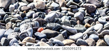 Abstract background with pebbles - round sea stones. Nature