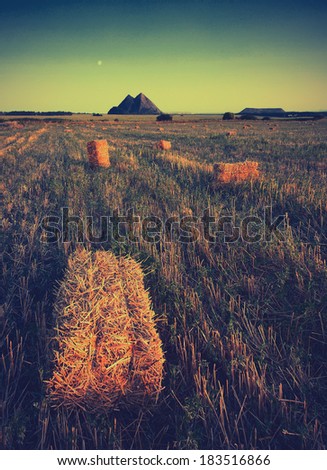 Vintage picture. Beautiful countryside landscape. Round straw bales in harvested fields and blue sky with slagheap on skyline
