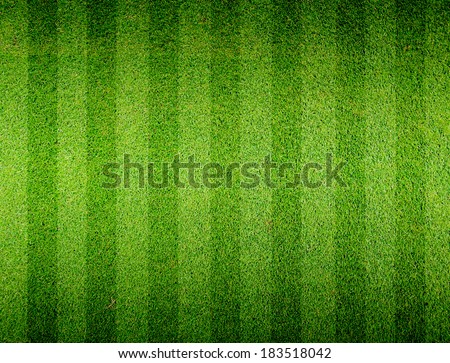 Soccer football grass field Royalty-Free Stock Photo #183518042