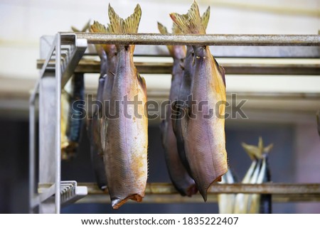 Smoked fish in the industrial production of a fish factory.