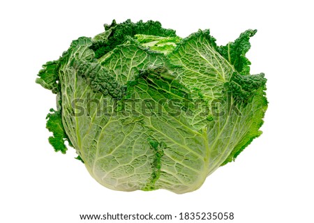 beautiful green cabbage isolated on white background Royalty-Free Stock Photo #1835235058