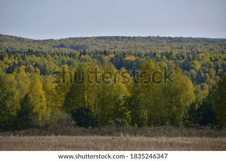 Bright autumn colors of the Ural taiga. Sunny autumn days in the foothills of the Western Urals.