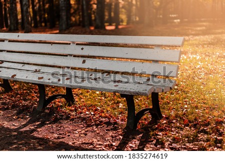 Autumn leaves on wooden bench in the park. Autumn background.