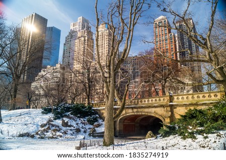 Balcony Bridge in Central Park New York winter