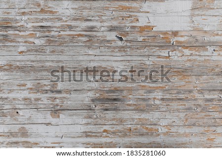 texture of a grungy wooden wall as backdrop
