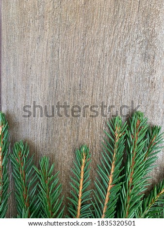 bright New Year's green branches of a Christmas tree on the background of a wooden board with seams. minimalistic pattern on the theme of the new year