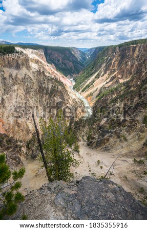 hiking the canyon rim south trail in grand canyon of the yellowstone, wyoming in the usa