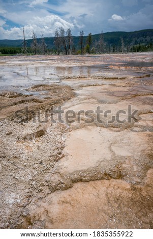 hydrothermal areas of biscuit basin in yellowstone national park in wyoming in the usa