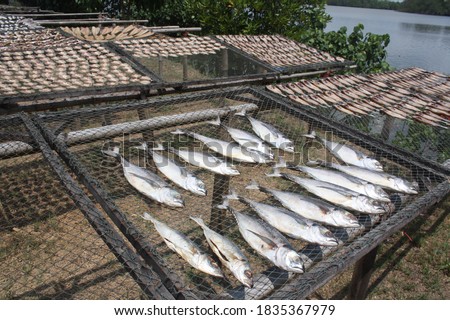 Dried fish Drying fish in the sun to dry It is a food preservation that allows fish to be kept for a long time. Dried fish can cook many kinds of dishes.