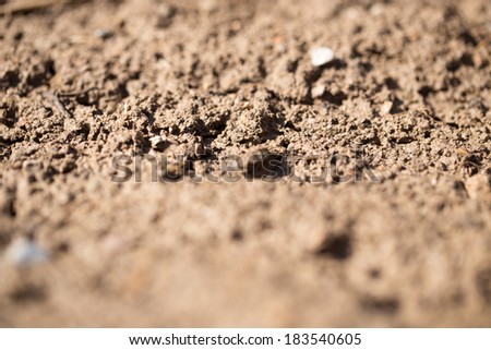background soil