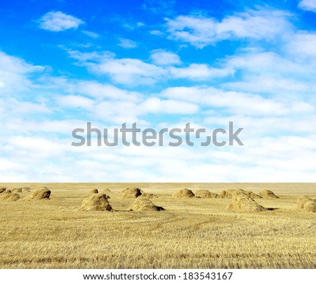 cloudy sky and golden field after harvesting