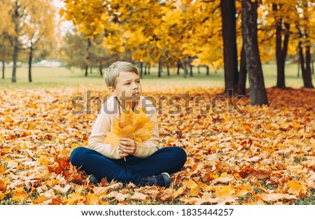 a boy sitting in an autumn Park with maple trees