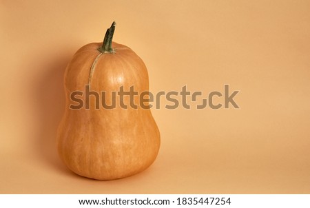 detail of orange pumpkin with a green tail on a yellow background