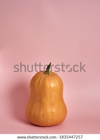 detail of orange pumpkin with a green tail on a pink background