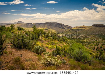 The hillsides are carpeted with yellow wildflowers in the Burro Creek Wilderness, in Arizona, as well as a bit of cholla, prickly pear, and barrel cactus in the foreground.