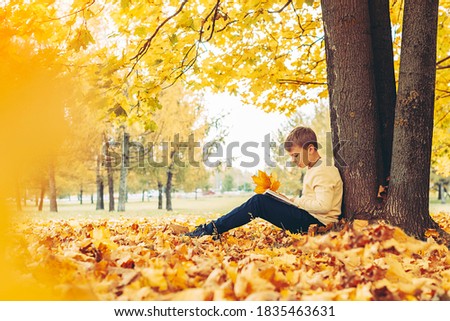 a boy reads a book under a maple tree in an autumn Park