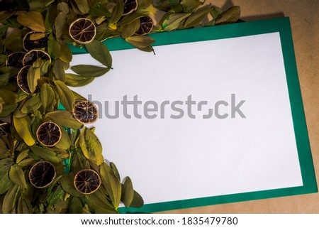 background with space to text one side green leaves and slices lemmon