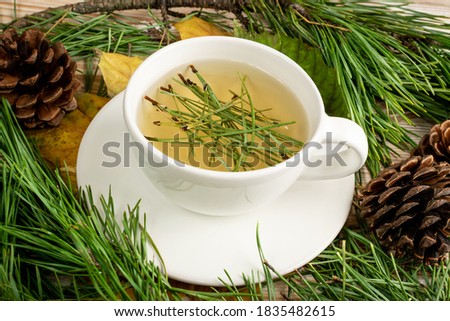 Pine needles tea in white cup. Healthy winter beverage in camping, pine tree needles tea in mug. Medicine scurvy, source of vitamin C and carotene Royalty-Free Stock Photo #1835482615