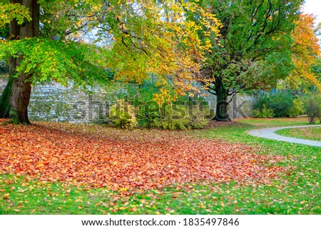 Pile of autumn leaves in the park
