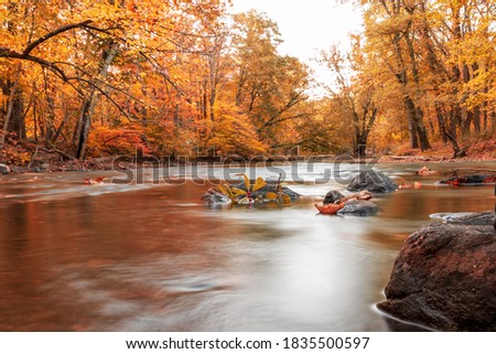 Beautiful fall pictures displaying beautiful autumn scenes with colorful red and yellow leaves, smooth water, with amazing reflection in the water.